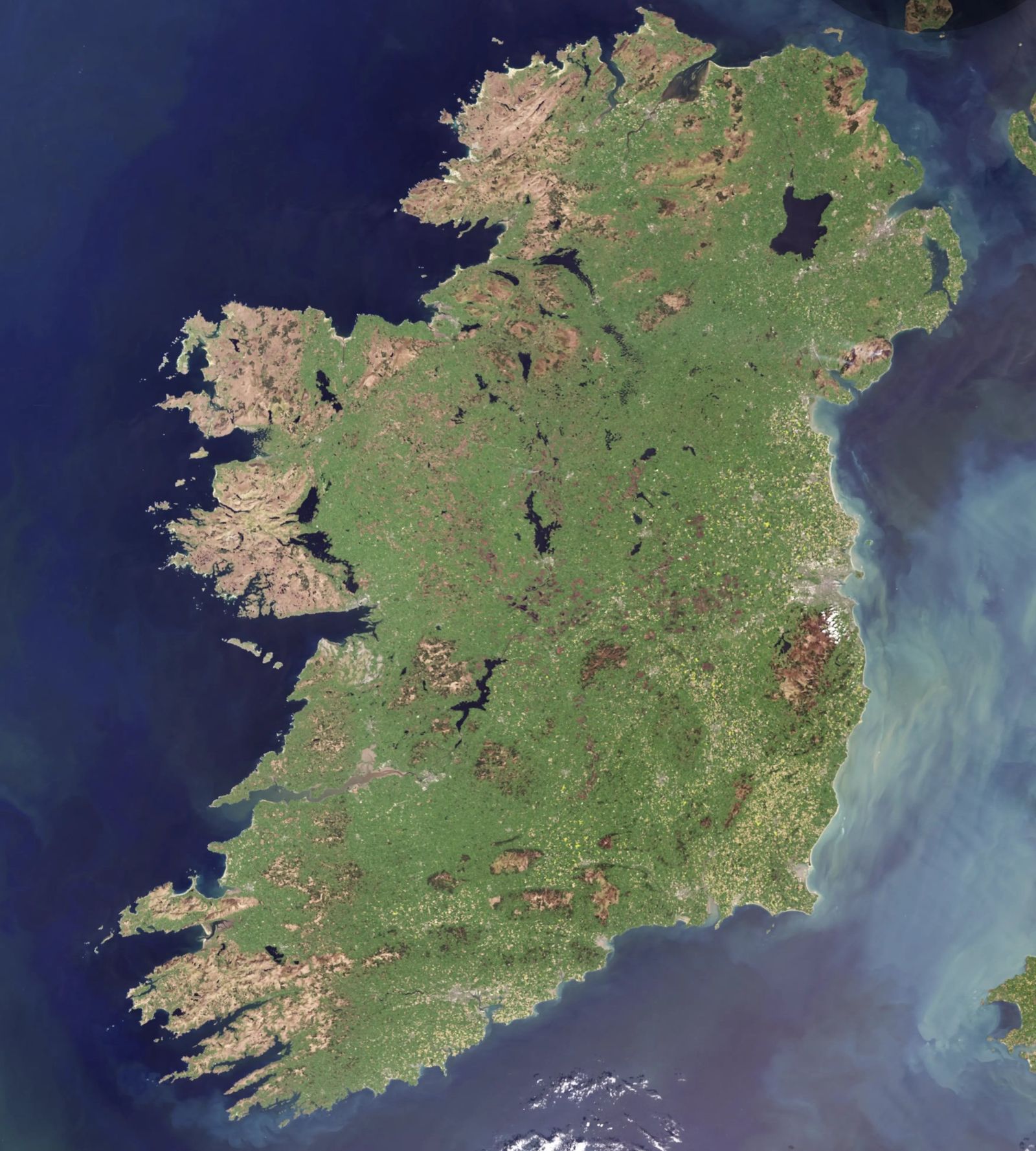 Cloud-free true-colour satellite view of the island of Ireland, showing green farmland, brown upland bog and mountain, dark lakes and sediment-rich coastal waters in the Irish Sea.